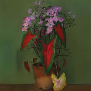Press Image 18
