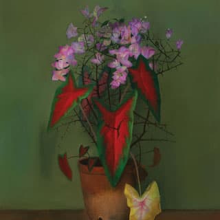 Press Image 2